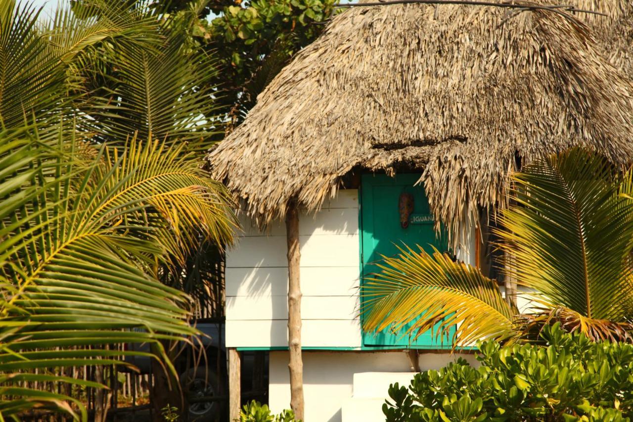 Cocori Lodge Paredon El Paredón Buena Vista Dış mekan fotoğraf
