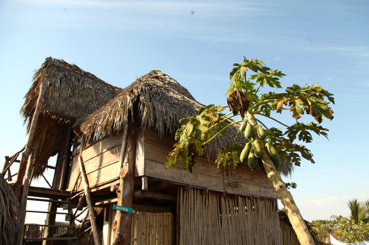Cocori Lodge Paredon El Paredón Buena Vista Dış mekan fotoğraf