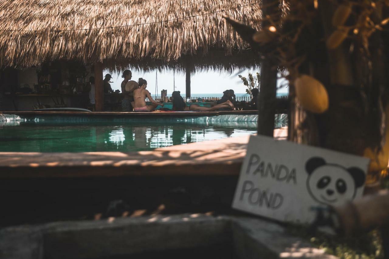 Cocori Lodge Paredon El Paredón Buena Vista Dış mekan fotoğraf